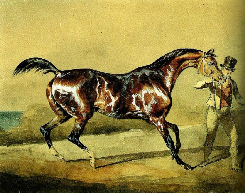 charles emile callande cheval a' l' entrainement china oil painting image